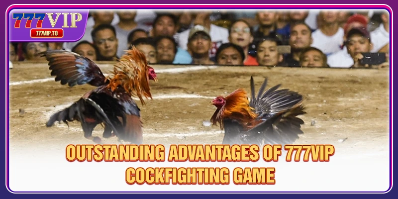 Outstanding advantages of 777VIP cockfighting game