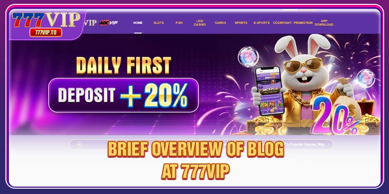 Brief overview of Blog at 777VIP