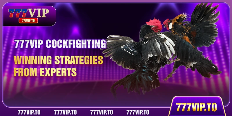 777VIP Cockfighting - Winning Strategies From Experts