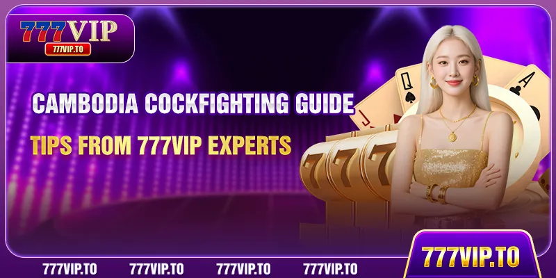 Cambodia Cockfighting Guide - Tips From 777VIP Experts