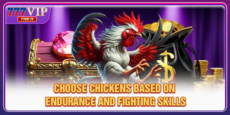 Choose chickens based on endurance and fighting skills
